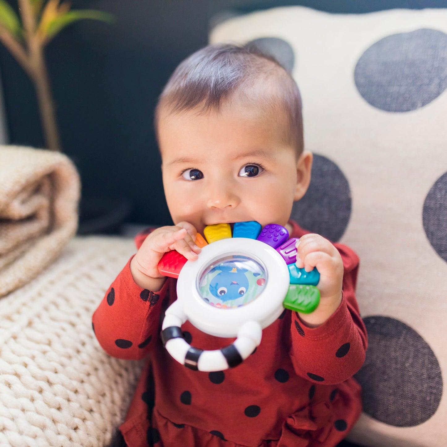 Baby Einstein - sensory teether toy