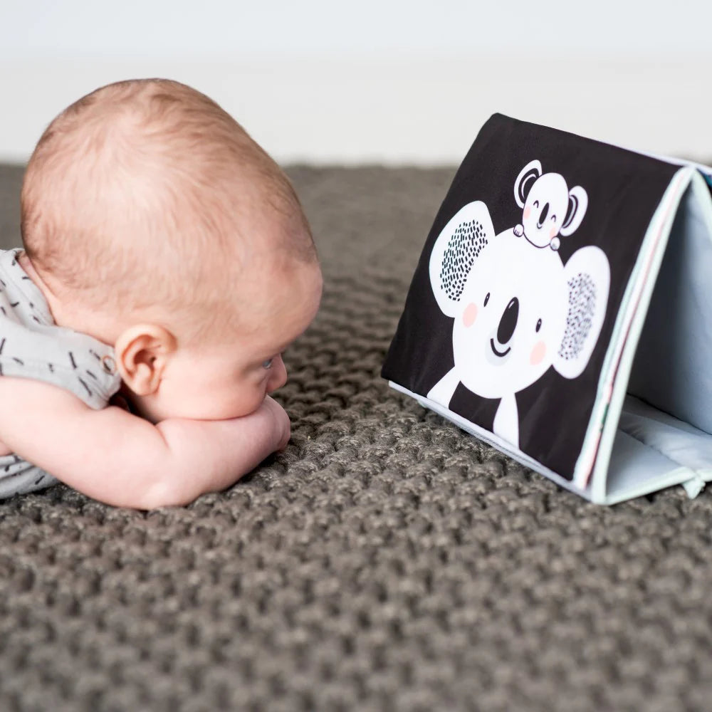 Koala Tummy time book