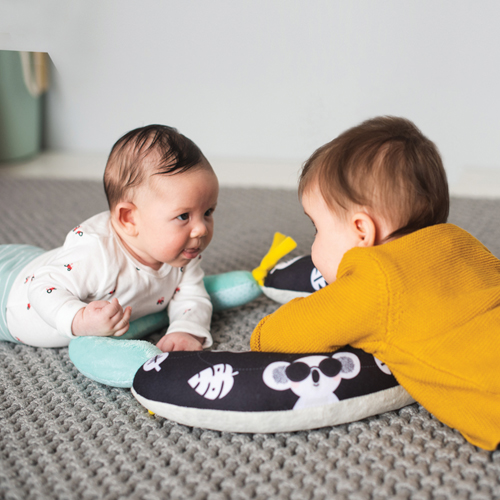 2 in 1 Tummy time pillow