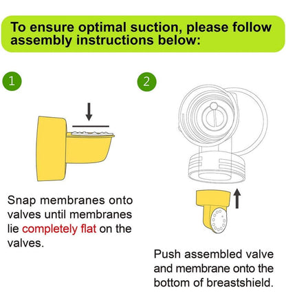 Valves & membranes